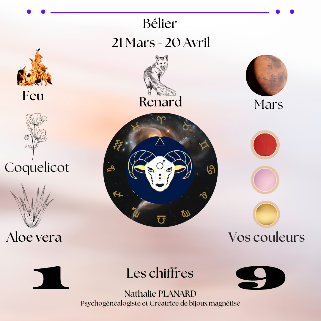 Mémento : Les béliers