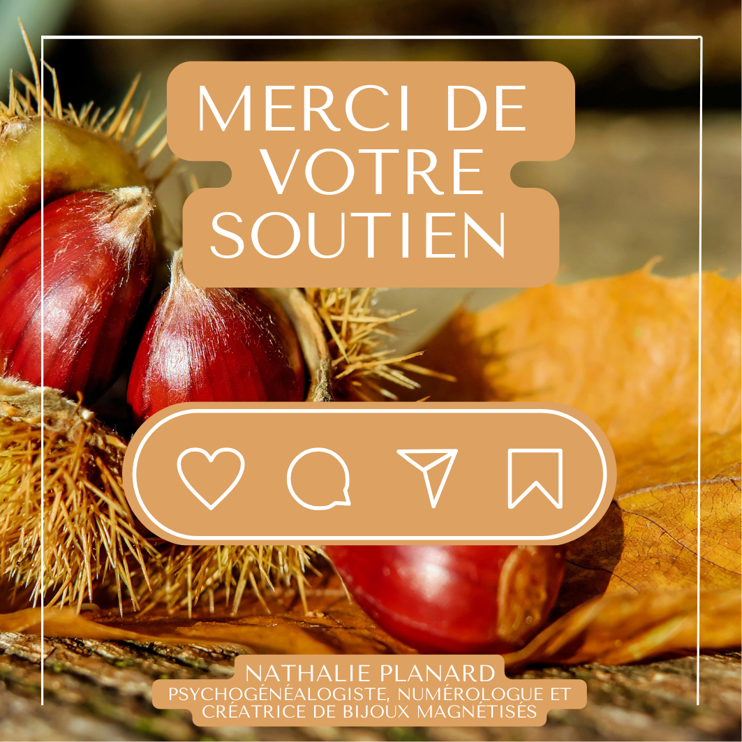 Je serais à la salle des fêtes Les terres Blanches à Bouc Bel Air le 9 et 10 novembre