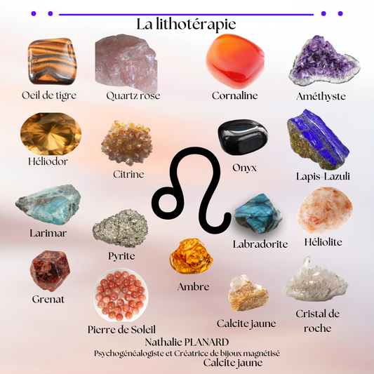 Mémento : Les lions