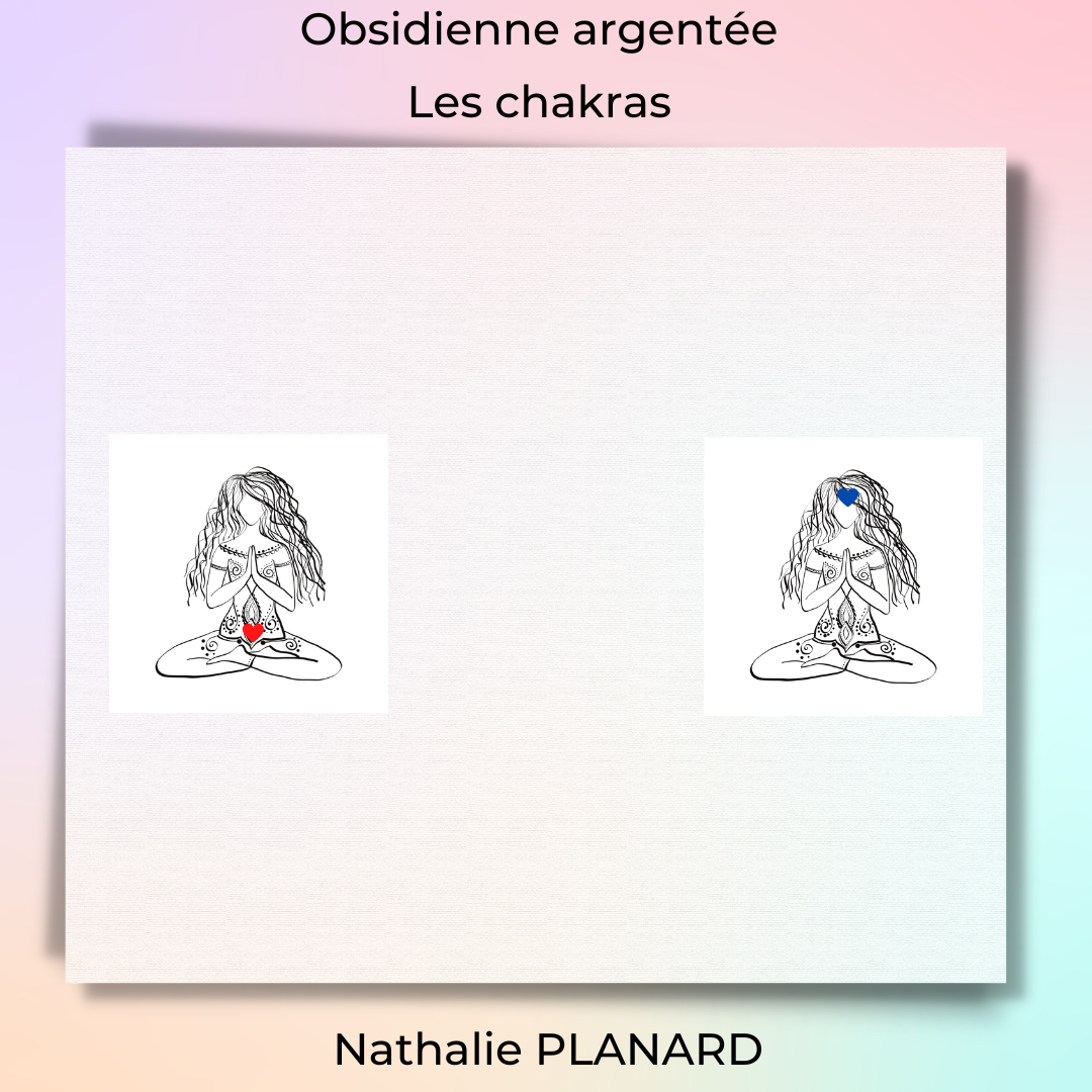 Mémento : Obsidienne argentée