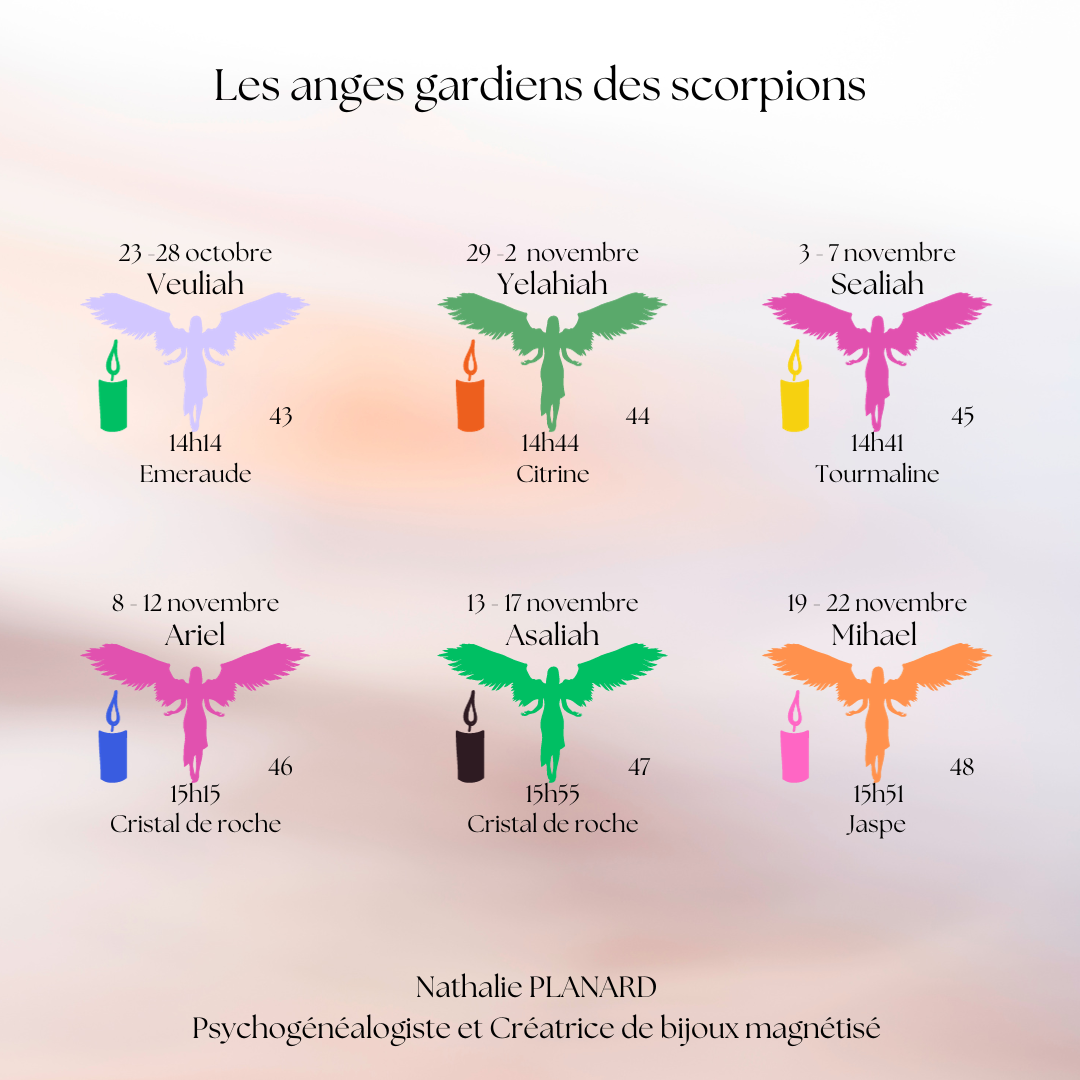 Mémento : Les scorpions