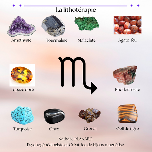 Mémento : Les scorpions