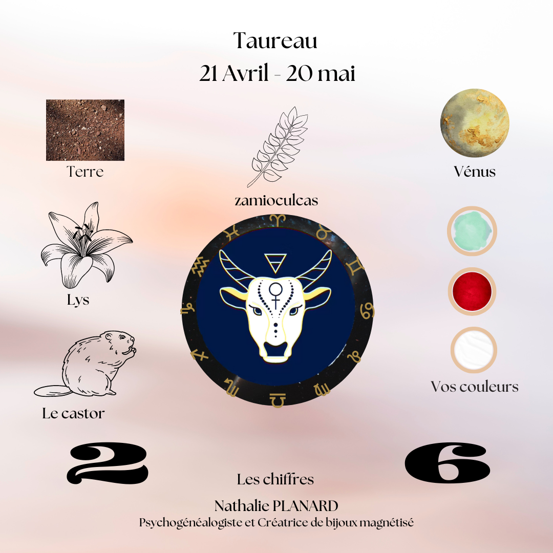 Mémento : Les taureaux