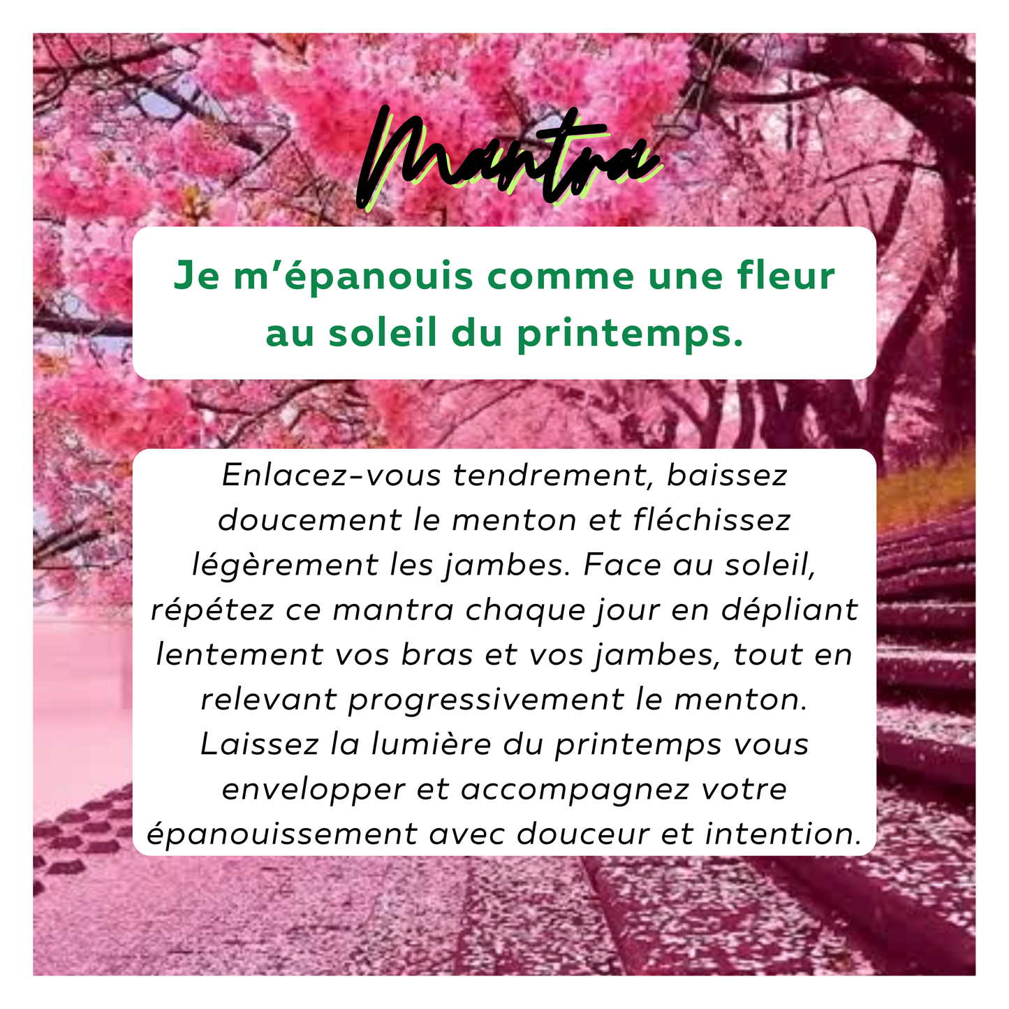 Atelier Lithothérapie & Création – Spécial Printemps (15 mars 2025)