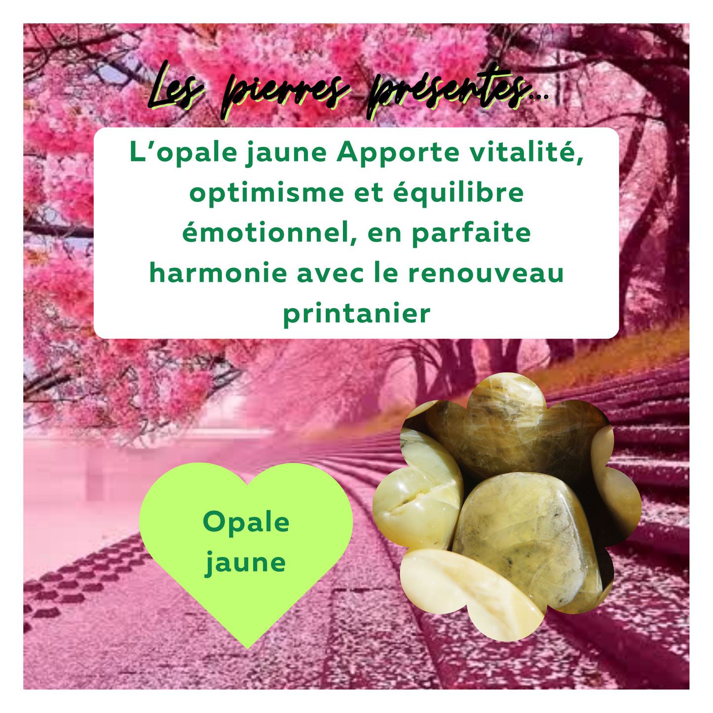 Atelier Lithothérapie & Création – Spécial Printemps (15 mars 2025)