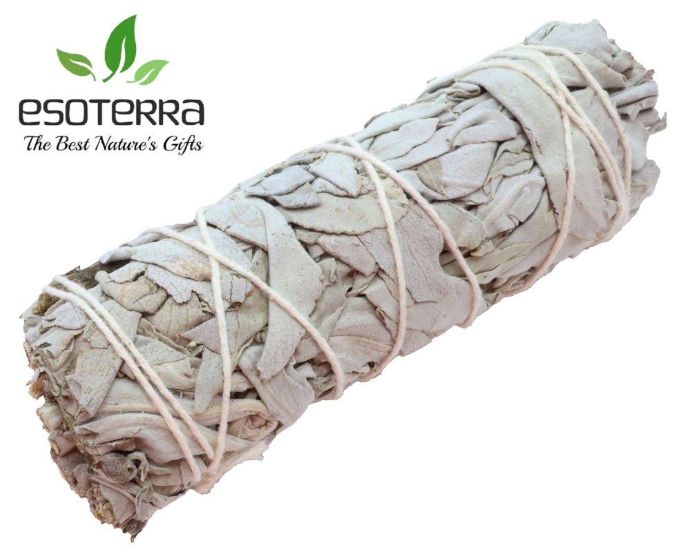 Sauge Blanche Native de Californie – Fagot de purification et de clarté – 30 g