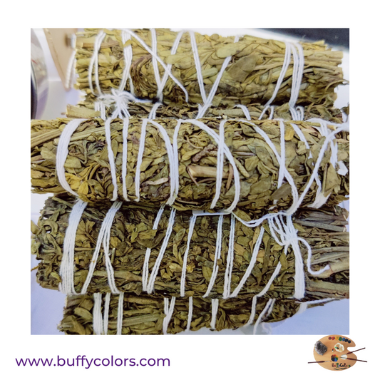 Fagot de feuilles d'Arruda Rue