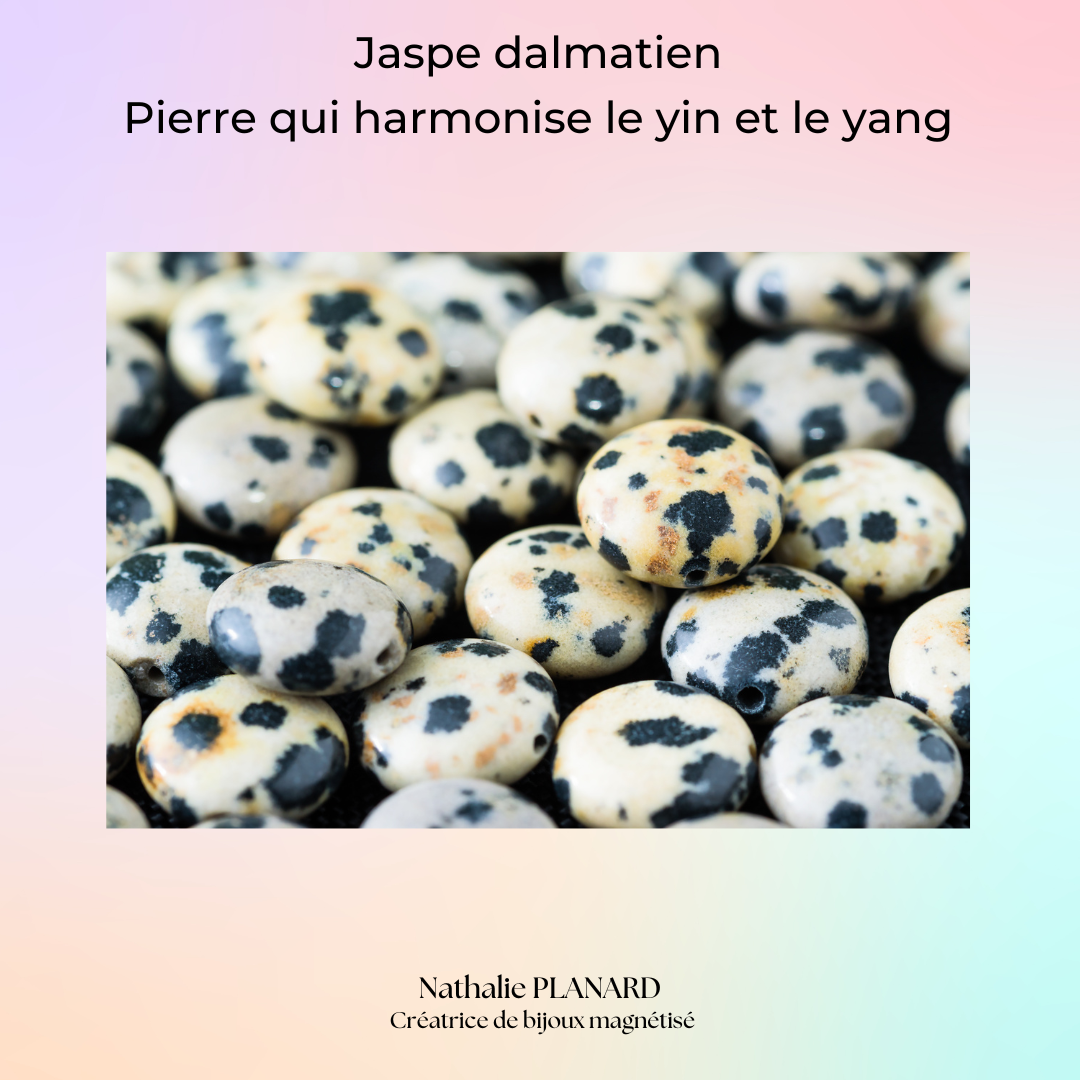 Jaspe dalmatien