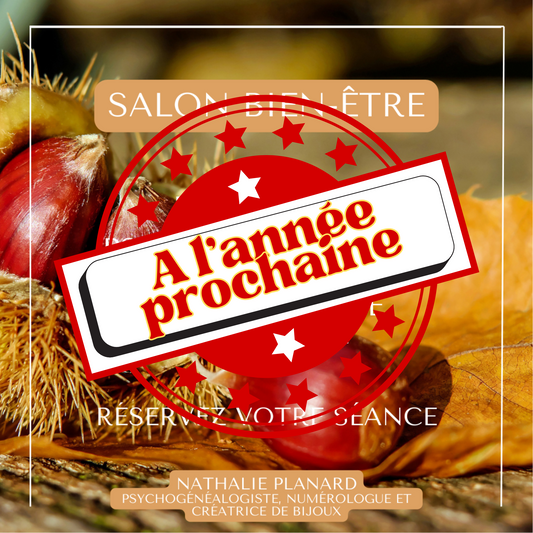 Je serais à la salle des fêtes Les terres Blanches à Bouc Bel Air le 9 et 10 novembre