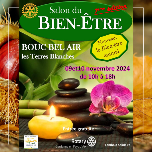 Je serais à la salle des fêtes Les terres Blanches à Bouc Bel Air le 9 et 10 novembre