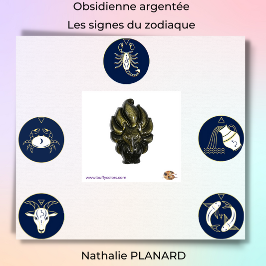 Mémento : Obsidienne argentée