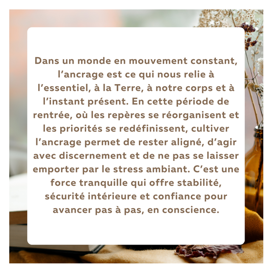 Atelier Ancrage & Protection